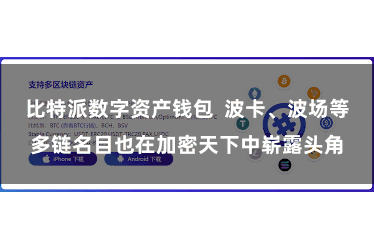 比特派数字资产钱包  波卡、波场等多链名目也在加密天下中崭露头角